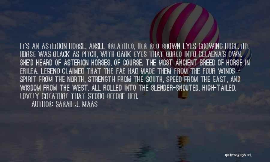 Sarah J. Maas Quotes: It's An Asterion Horse, Ansel Breathed, Her Red-brown Eyes Growing Huge.the Horse Was Black As Pitch, With Dark Eyes That