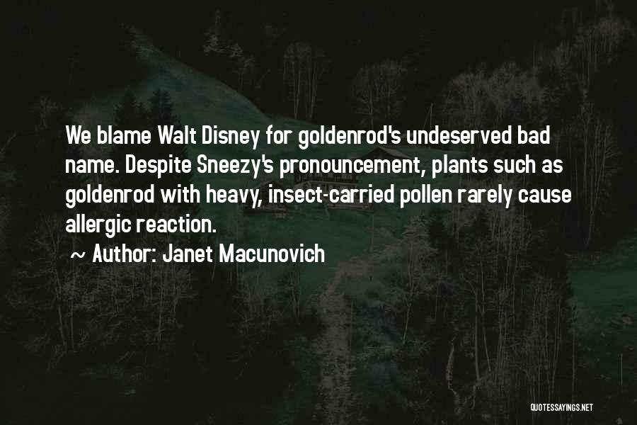 Janet Macunovich Quotes: We Blame Walt Disney For Goldenrod's Undeserved Bad Name. Despite Sneezy's Pronouncement, Plants Such As Goldenrod With Heavy, Insect-carried Pollen