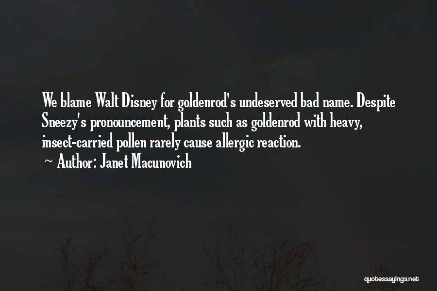 Janet Macunovich Quotes: We Blame Walt Disney For Goldenrod's Undeserved Bad Name. Despite Sneezy's Pronouncement, Plants Such As Goldenrod With Heavy, Insect-carried Pollen