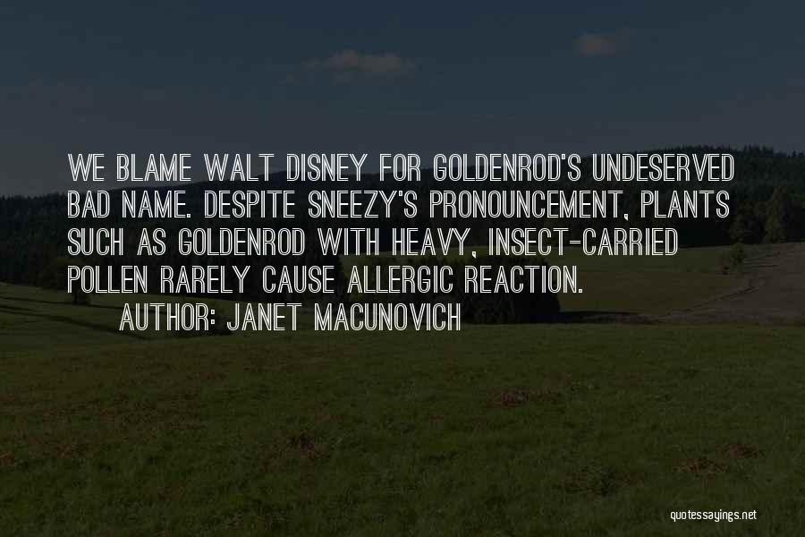 Janet Macunovich Quotes: We Blame Walt Disney For Goldenrod's Undeserved Bad Name. Despite Sneezy's Pronouncement, Plants Such As Goldenrod With Heavy, Insect-carried Pollen