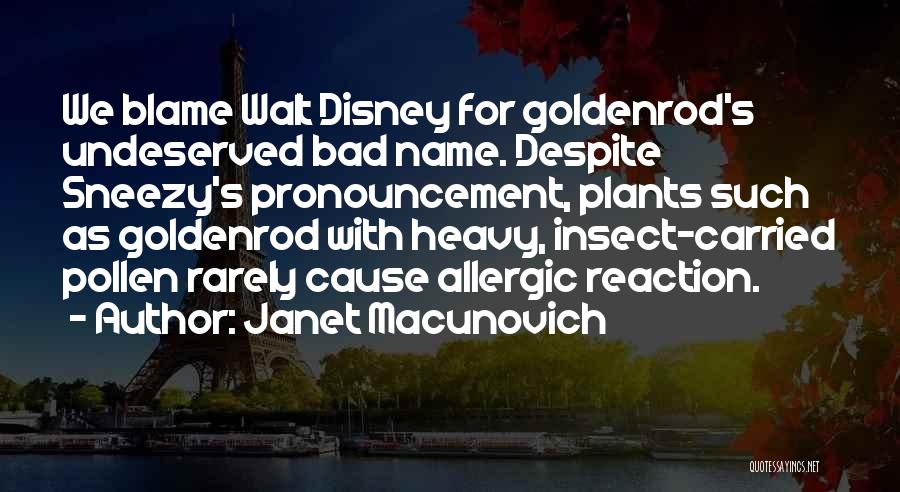 Janet Macunovich Quotes: We Blame Walt Disney For Goldenrod's Undeserved Bad Name. Despite Sneezy's Pronouncement, Plants Such As Goldenrod With Heavy, Insect-carried Pollen