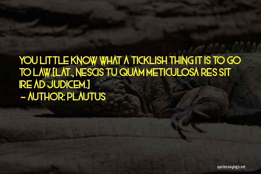 Plautus Quotes: You Little Know What A Ticklish Thing It Is To Go To Law.[lat., Nescis Tu Quam Meticulosa Res Sit Ire