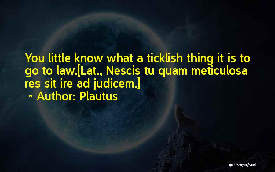 Plautus Quotes: You Little Know What A Ticklish Thing It Is To Go To Law.[lat., Nescis Tu Quam Meticulosa Res Sit Ire