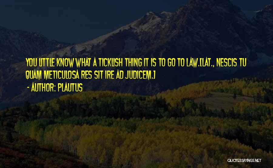 Plautus Quotes: You Little Know What A Ticklish Thing It Is To Go To Law.[lat., Nescis Tu Quam Meticulosa Res Sit Ire
