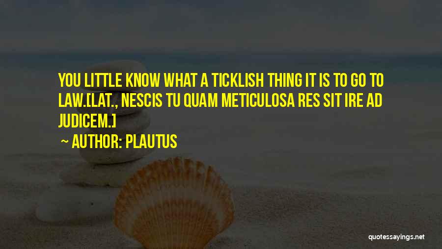 Plautus Quotes: You Little Know What A Ticklish Thing It Is To Go To Law.[lat., Nescis Tu Quam Meticulosa Res Sit Ire