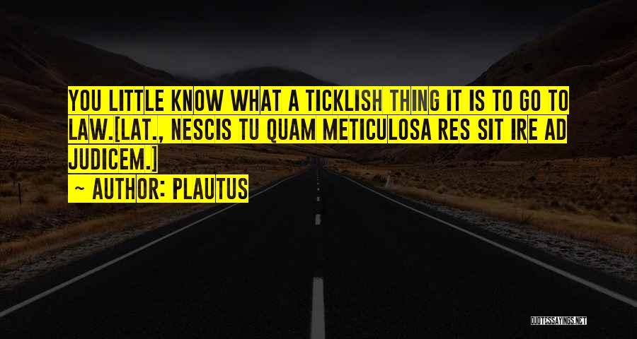 Plautus Quotes: You Little Know What A Ticklish Thing It Is To Go To Law.[lat., Nescis Tu Quam Meticulosa Res Sit Ire