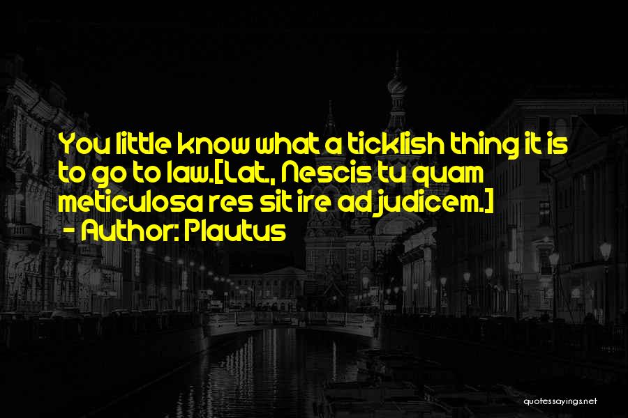 Plautus Quotes: You Little Know What A Ticklish Thing It Is To Go To Law.[lat., Nescis Tu Quam Meticulosa Res Sit Ire