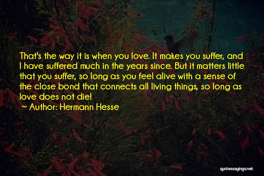 Hermann Hesse Quotes: That's The Way It Is When You Love. It Makes You Suffer, And I Have Suffered Much In The Years