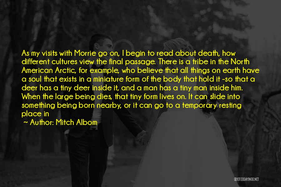 Mitch Albom Quotes: As My Visits With Morrie Go On, I Begin To Read About Death, How Different Cultures View The Final Passage.