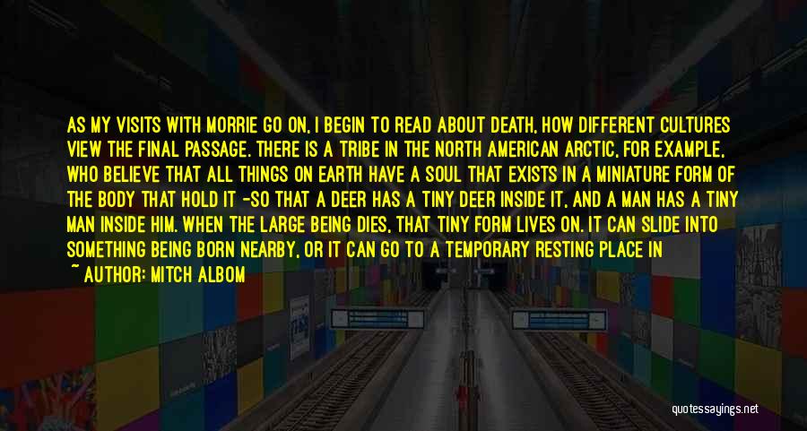 Mitch Albom Quotes: As My Visits With Morrie Go On, I Begin To Read About Death, How Different Cultures View The Final Passage.