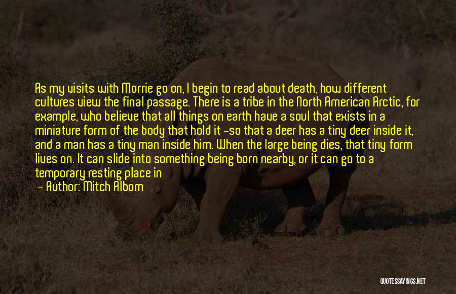 Mitch Albom Quotes: As My Visits With Morrie Go On, I Begin To Read About Death, How Different Cultures View The Final Passage.