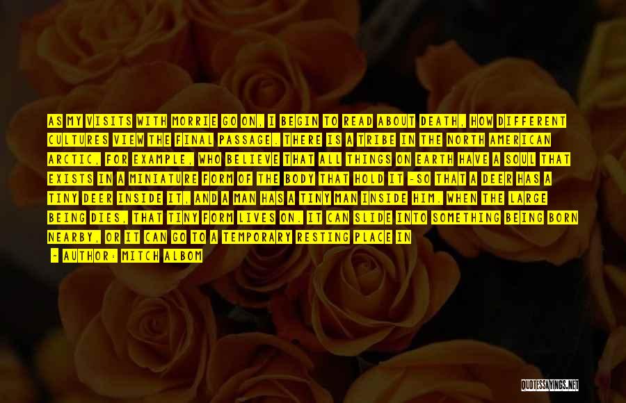 Mitch Albom Quotes: As My Visits With Morrie Go On, I Begin To Read About Death, How Different Cultures View The Final Passage.