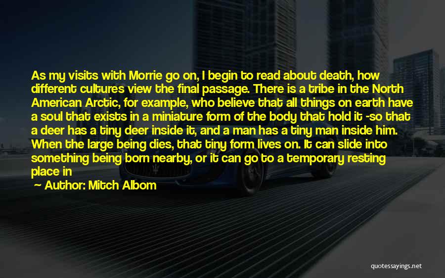 Mitch Albom Quotes: As My Visits With Morrie Go On, I Begin To Read About Death, How Different Cultures View The Final Passage.