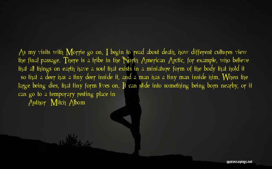 Mitch Albom Quotes: As My Visits With Morrie Go On, I Begin To Read About Death, How Different Cultures View The Final Passage.