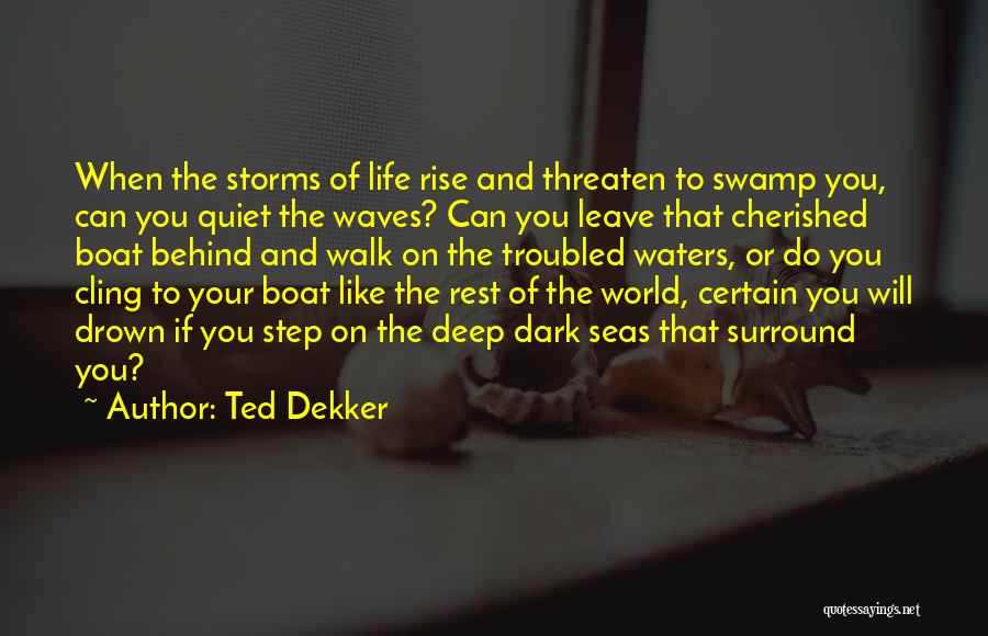 Ted Dekker Quotes: When The Storms Of Life Rise And Threaten To Swamp You, Can You Quiet The Waves? Can You Leave That
