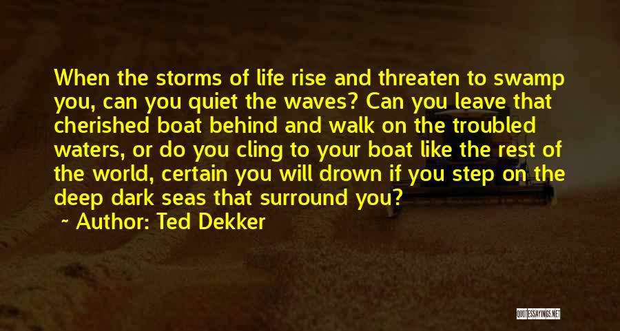 Ted Dekker Quotes: When The Storms Of Life Rise And Threaten To Swamp You, Can You Quiet The Waves? Can You Leave That