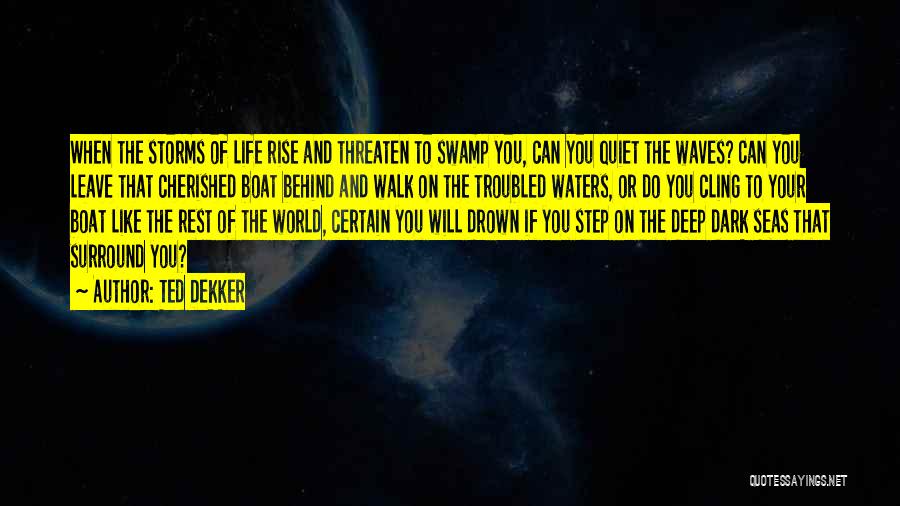 Ted Dekker Quotes: When The Storms Of Life Rise And Threaten To Swamp You, Can You Quiet The Waves? Can You Leave That