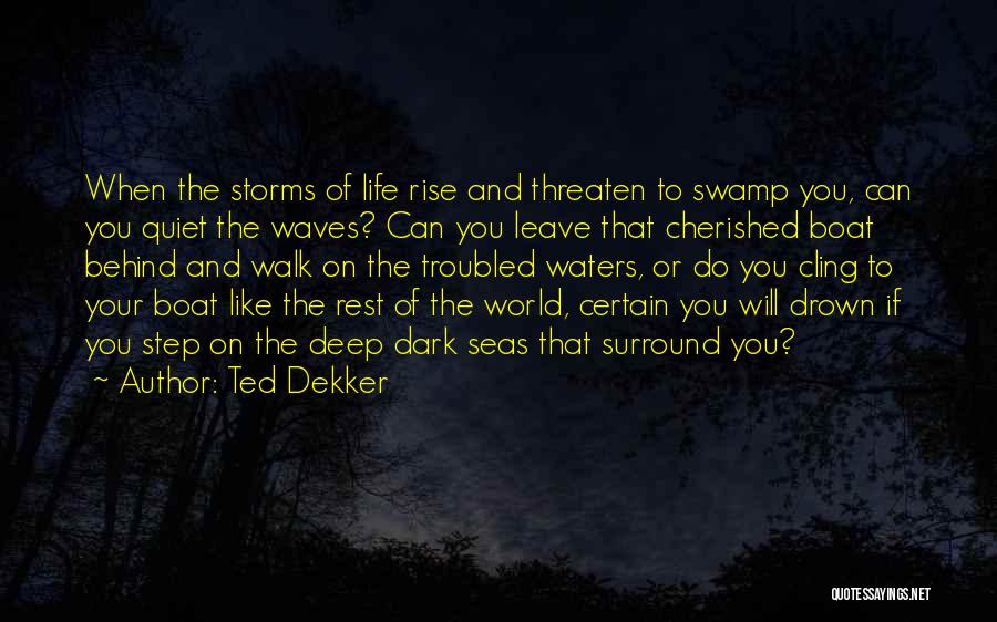 Ted Dekker Quotes: When The Storms Of Life Rise And Threaten To Swamp You, Can You Quiet The Waves? Can You Leave That