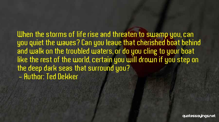 Ted Dekker Quotes: When The Storms Of Life Rise And Threaten To Swamp You, Can You Quiet The Waves? Can You Leave That