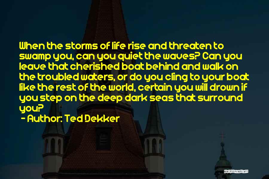 Ted Dekker Quotes: When The Storms Of Life Rise And Threaten To Swamp You, Can You Quiet The Waves? Can You Leave That