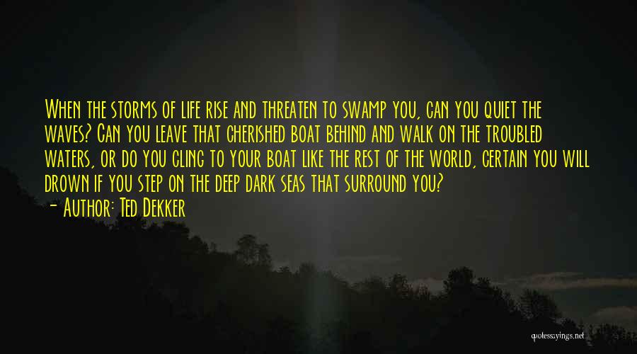 Ted Dekker Quotes: When The Storms Of Life Rise And Threaten To Swamp You, Can You Quiet The Waves? Can You Leave That