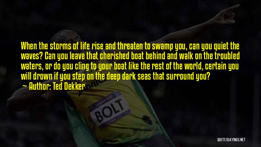 Ted Dekker Quotes: When The Storms Of Life Rise And Threaten To Swamp You, Can You Quiet The Waves? Can You Leave That
