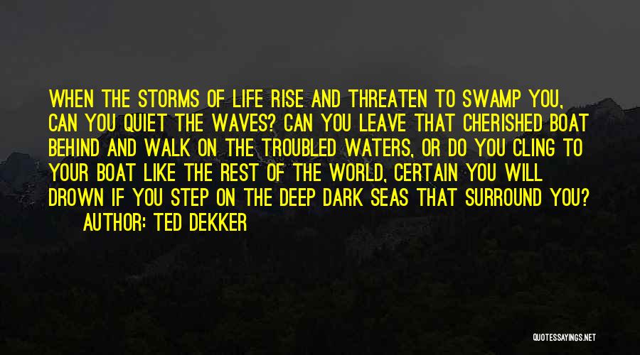 Ted Dekker Quotes: When The Storms Of Life Rise And Threaten To Swamp You, Can You Quiet The Waves? Can You Leave That