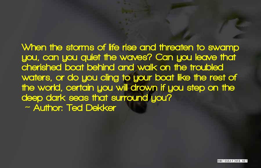 Ted Dekker Quotes: When The Storms Of Life Rise And Threaten To Swamp You, Can You Quiet The Waves? Can You Leave That