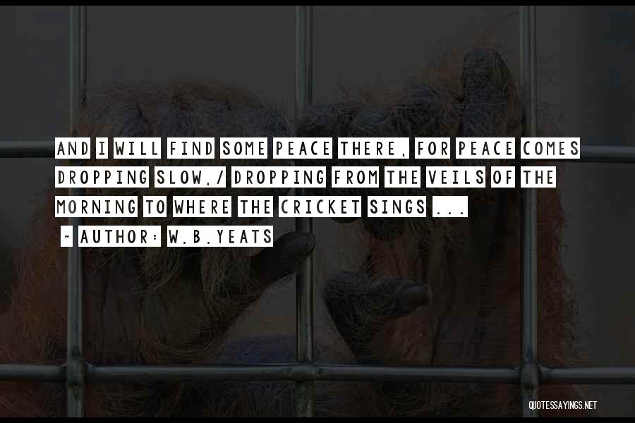 W.B.Yeats Quotes: And I Will Find Some Peace There, For Peace Comes Dropping Slow,/ Dropping From The Veils Of The Morning To