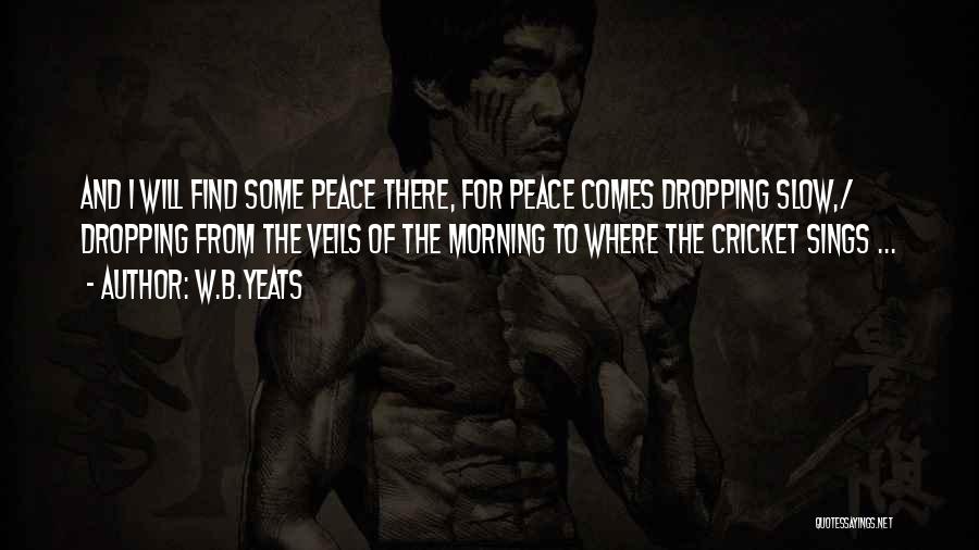 W.B.Yeats Quotes: And I Will Find Some Peace There, For Peace Comes Dropping Slow,/ Dropping From The Veils Of The Morning To