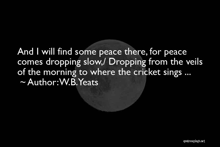 W.B.Yeats Quotes: And I Will Find Some Peace There, For Peace Comes Dropping Slow,/ Dropping From The Veils Of The Morning To