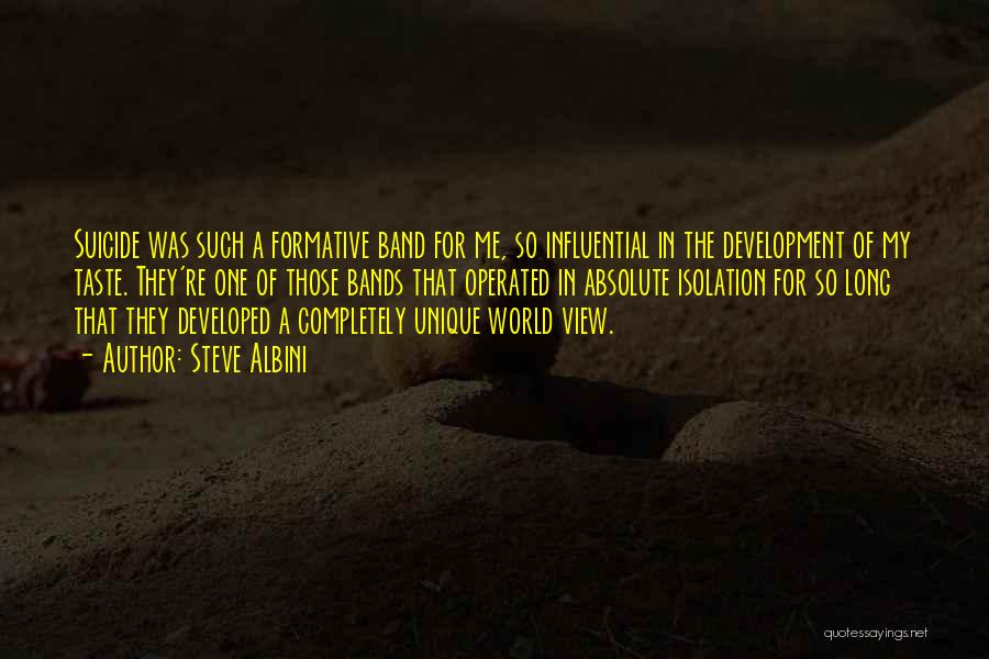 Steve Albini Quotes: Suicide Was Such A Formative Band For Me, So Influential In The Development Of My Taste. They're One Of Those