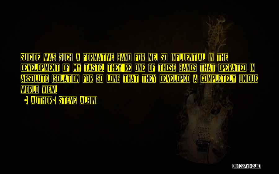 Steve Albini Quotes: Suicide Was Such A Formative Band For Me, So Influential In The Development Of My Taste. They're One Of Those