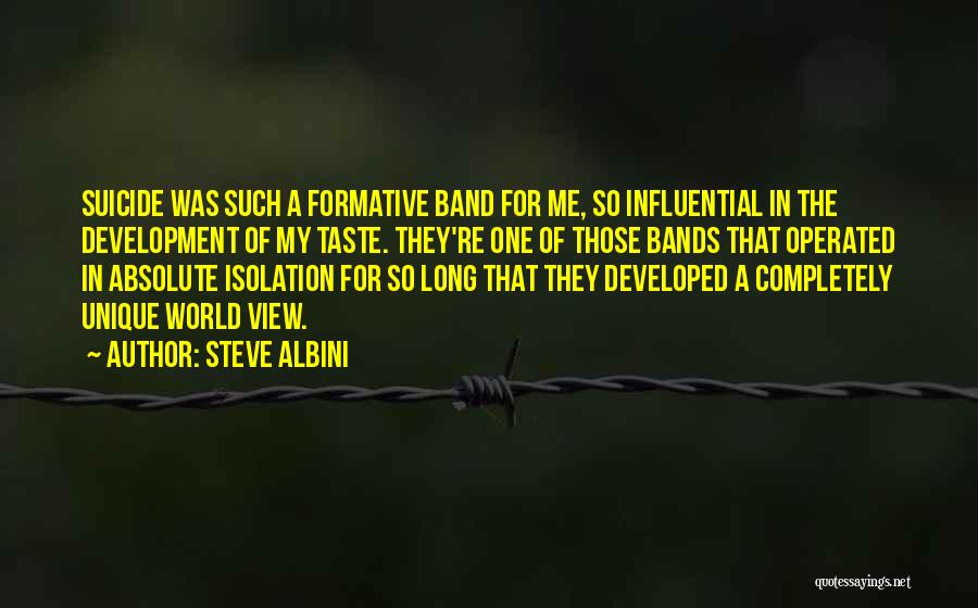 Steve Albini Quotes: Suicide Was Such A Formative Band For Me, So Influential In The Development Of My Taste. They're One Of Those