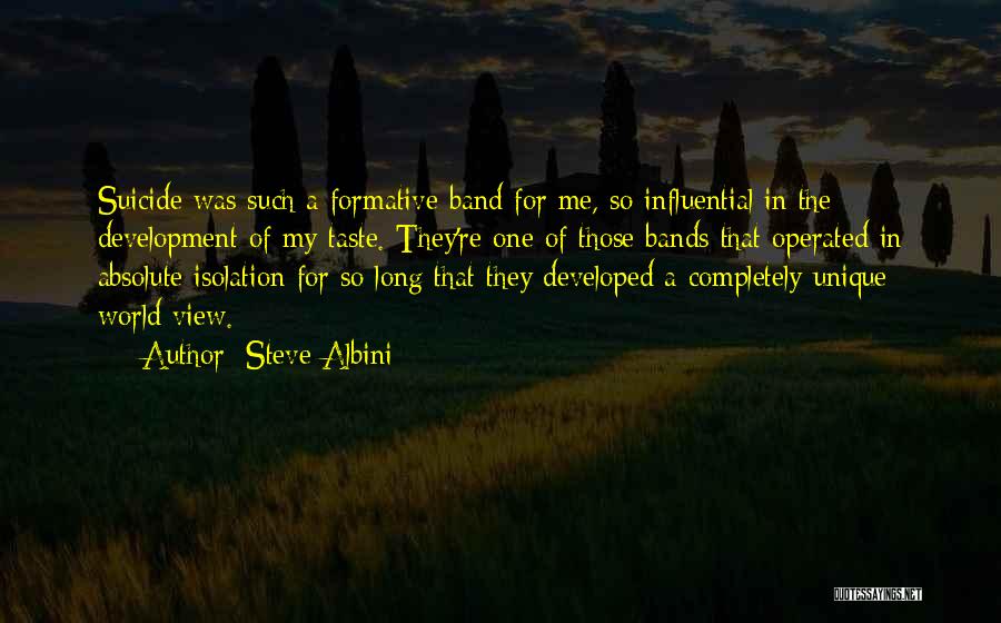Steve Albini Quotes: Suicide Was Such A Formative Band For Me, So Influential In The Development Of My Taste. They're One Of Those