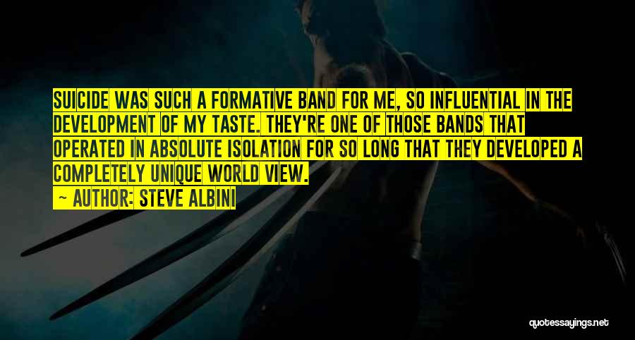 Steve Albini Quotes: Suicide Was Such A Formative Band For Me, So Influential In The Development Of My Taste. They're One Of Those