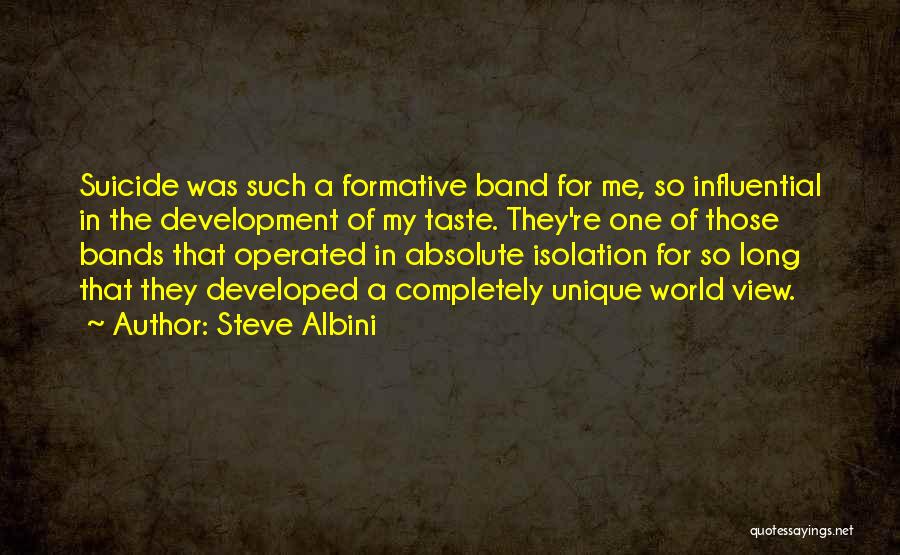 Steve Albini Quotes: Suicide Was Such A Formative Band For Me, So Influential In The Development Of My Taste. They're One Of Those