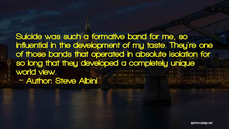 Steve Albini Quotes: Suicide Was Such A Formative Band For Me, So Influential In The Development Of My Taste. They're One Of Those