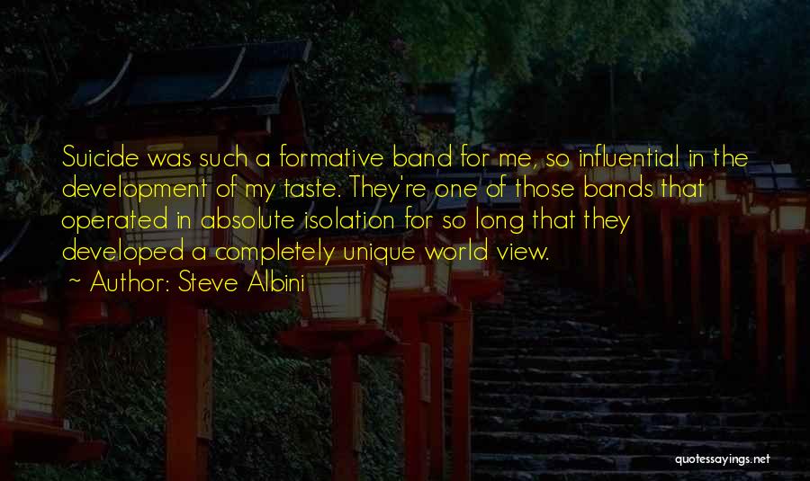 Steve Albini Quotes: Suicide Was Such A Formative Band For Me, So Influential In The Development Of My Taste. They're One Of Those
