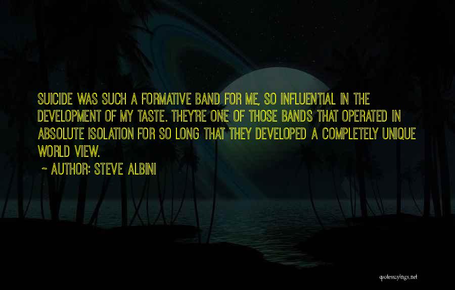 Steve Albini Quotes: Suicide Was Such A Formative Band For Me, So Influential In The Development Of My Taste. They're One Of Those