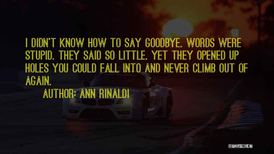 Ann Rinaldi Quotes: I Didn't Know How To Say Goodbye. Words Were Stupid. They Said So Little. Yet They Opened Up Holes You