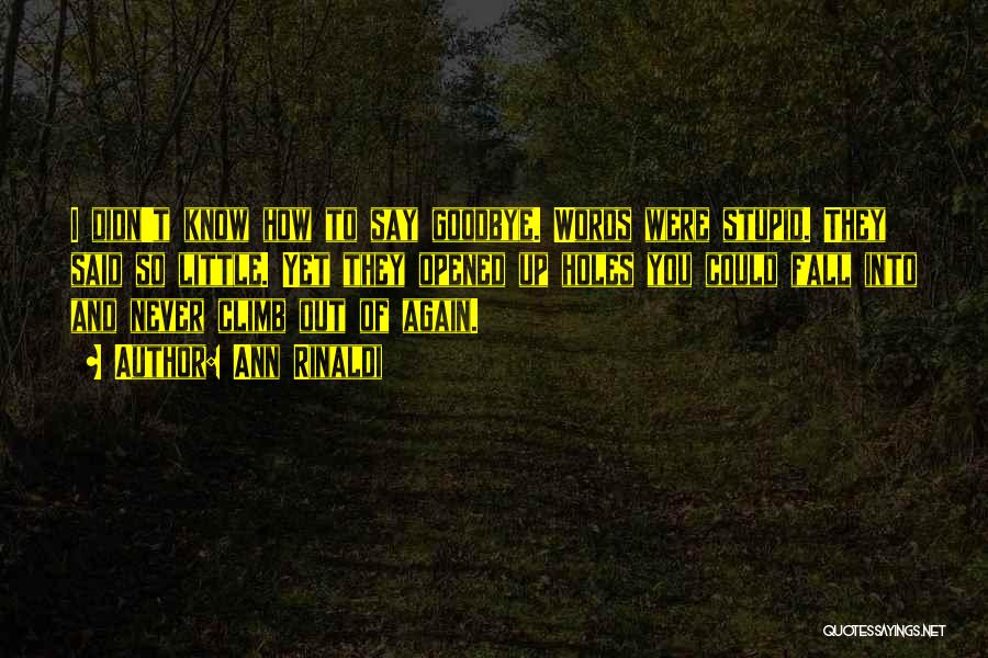 Ann Rinaldi Quotes: I Didn't Know How To Say Goodbye. Words Were Stupid. They Said So Little. Yet They Opened Up Holes You