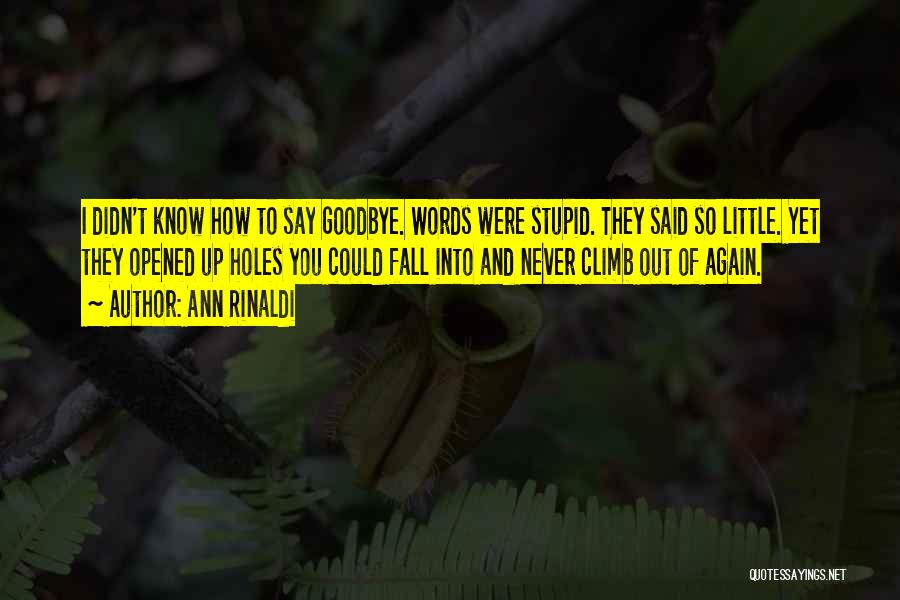 Ann Rinaldi Quotes: I Didn't Know How To Say Goodbye. Words Were Stupid. They Said So Little. Yet They Opened Up Holes You