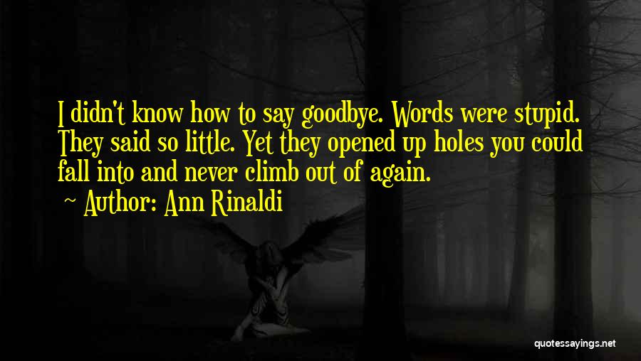 Ann Rinaldi Quotes: I Didn't Know How To Say Goodbye. Words Were Stupid. They Said So Little. Yet They Opened Up Holes You