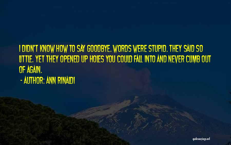 Ann Rinaldi Quotes: I Didn't Know How To Say Goodbye. Words Were Stupid. They Said So Little. Yet They Opened Up Holes You