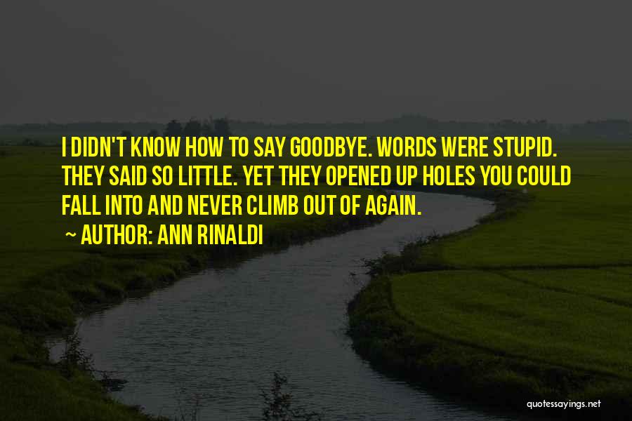 Ann Rinaldi Quotes: I Didn't Know How To Say Goodbye. Words Were Stupid. They Said So Little. Yet They Opened Up Holes You