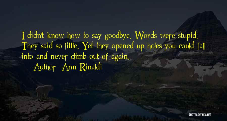 Ann Rinaldi Quotes: I Didn't Know How To Say Goodbye. Words Were Stupid. They Said So Little. Yet They Opened Up Holes You