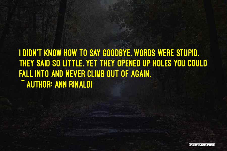 Ann Rinaldi Quotes: I Didn't Know How To Say Goodbye. Words Were Stupid. They Said So Little. Yet They Opened Up Holes You