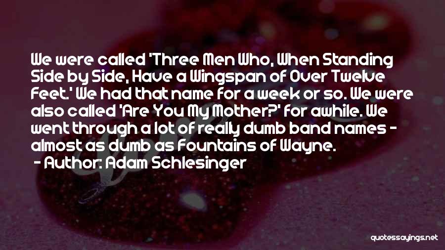 Adam Schlesinger Quotes: We Were Called 'three Men Who, When Standing Side By Side, Have A Wingspan Of Over Twelve Feet.' We Had