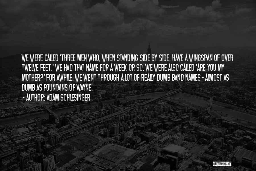 Adam Schlesinger Quotes: We Were Called 'three Men Who, When Standing Side By Side, Have A Wingspan Of Over Twelve Feet.' We Had